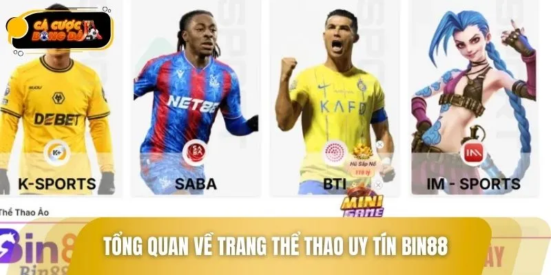 Giới thiệu nhà cái thể thao uy tín và đẳng cấp nhất BIN88