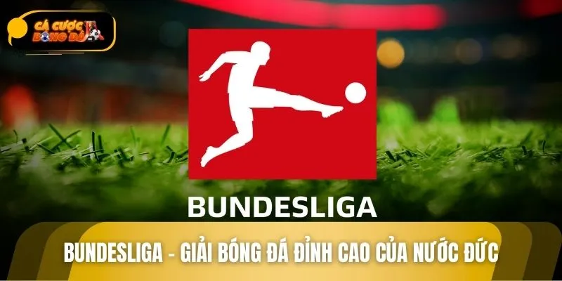 Bundesliga đứng top về lượt người xem mỗi mùa giải
