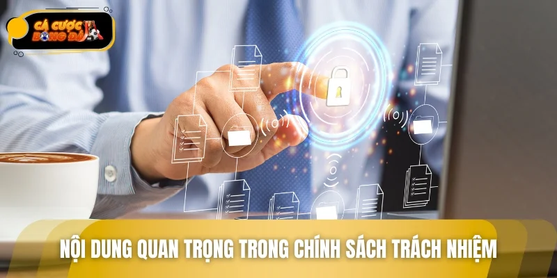 Tổng hợp nội dung quan trọng trong chính sách trách nhiệm