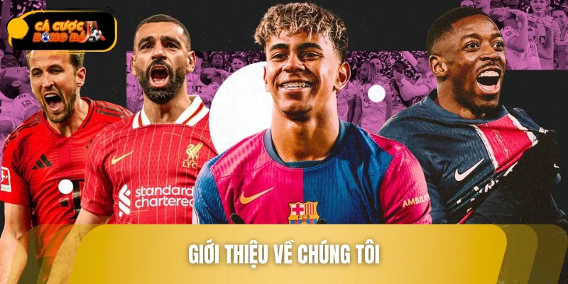 Giới thiệu về chúng tôi - Điểm danh nhà cái top đầu khu vực