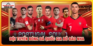 Đội tuyển bóng đá Bồ Đào Nha