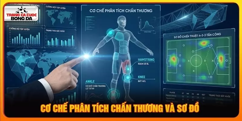 Cơ chế phân tích chấn thương và sơ đồ 