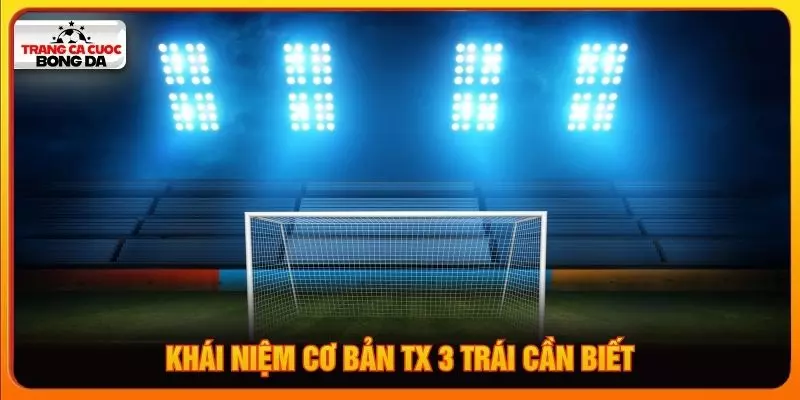 Khái  niệm cơ bản tx 3 trái cần biết
