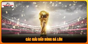 Các giải đấu bóng đá lớn