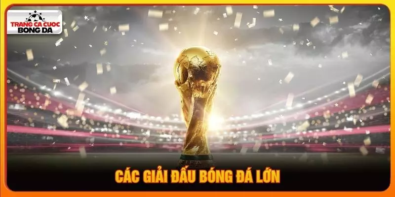 Các giải đấu bóng đá lớn