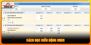 Cách đọc biến động odds