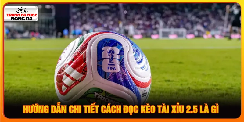 Cách tính tiền thắng người chơi cần dựa vào tổng số bàn thắng