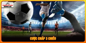 Cược chấp 3 chiều