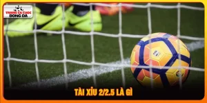 Tài xỉu 2/2.5 là gì