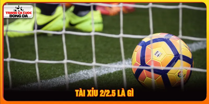 Tài xỉu 2/2.5 là gì
