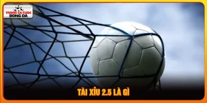 Tài xỉu 2.5 là gì