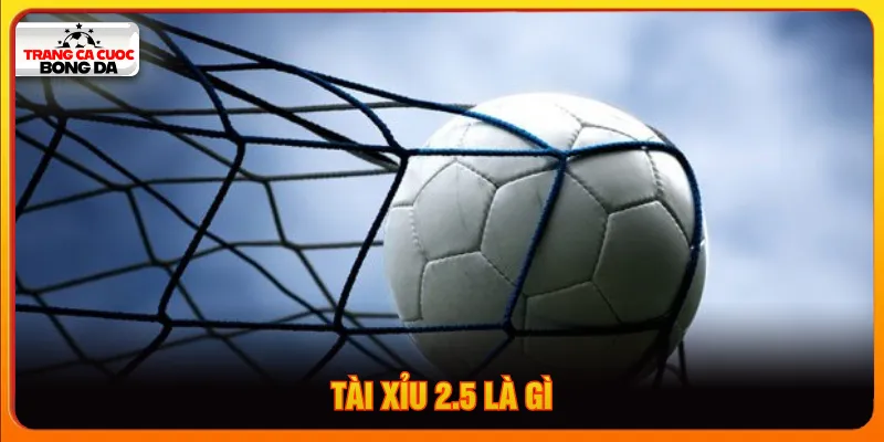 Tài xỉu 2.5 là gì