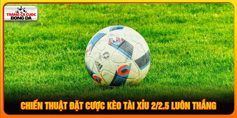 Tận dụng bí quyết áp dụng để cá cược kèo tài xỉu 2/2.5 là gì